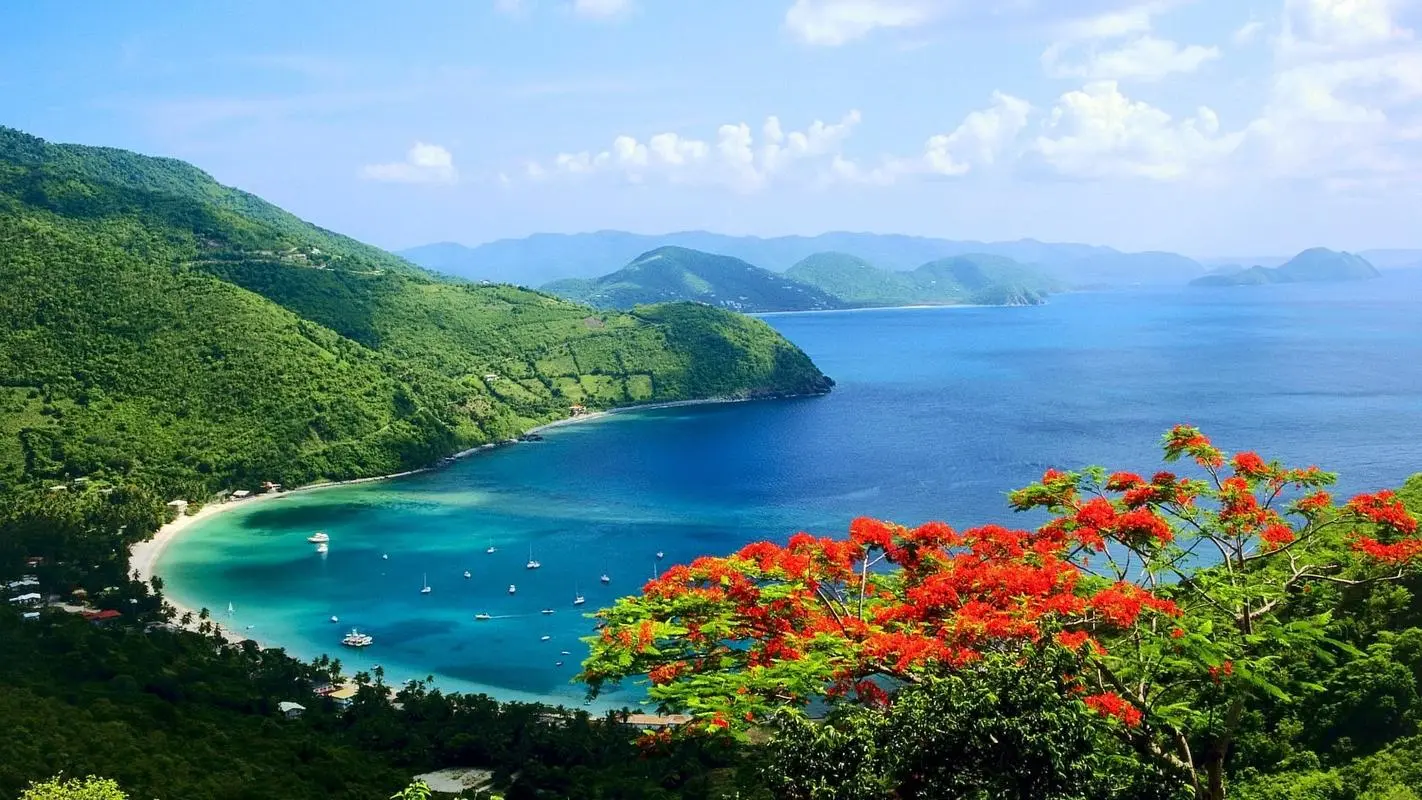 节能工业先进